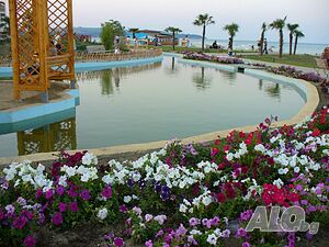 image_15