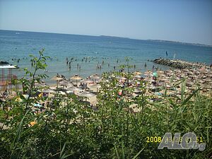 image_12