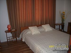 image_19