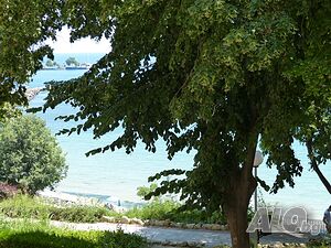 image_15