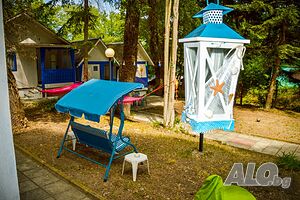 image_21