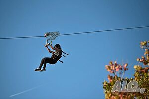image_11