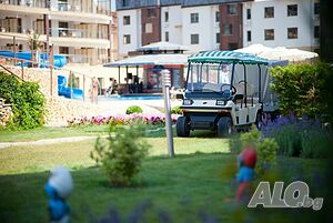 image_12