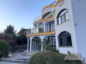 image_3