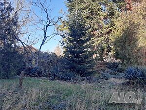 image_25