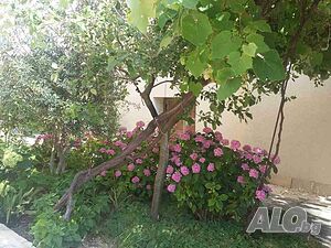 image_16