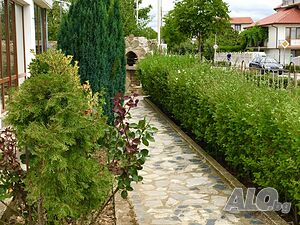 image_8