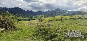 image_20
