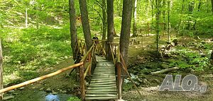 image_23