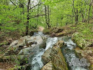 image_27