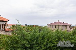 image_29