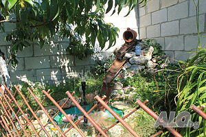 image_7