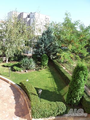 image_6