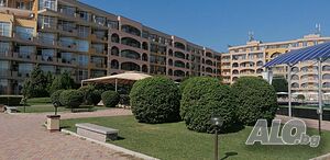image_6