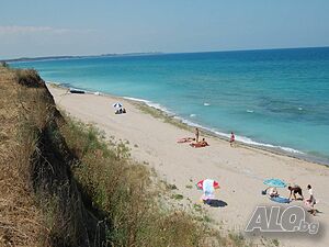image_8