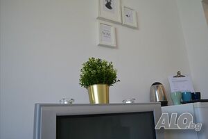 image_38