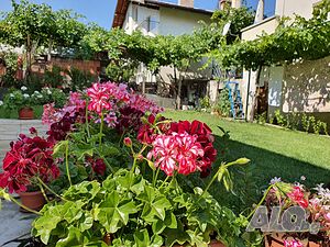 image_20