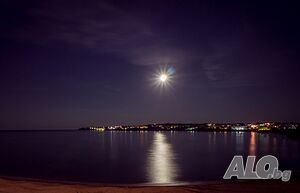 image_7