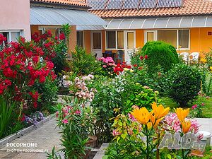 image_11