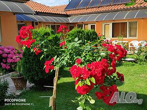image_14