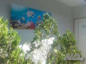 image_2