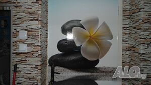 image_24