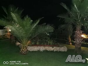 image_7