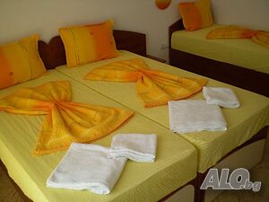 image_11