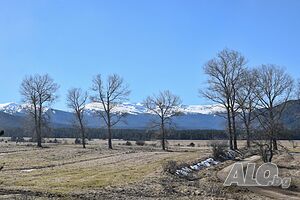 image_12