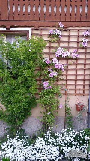 image_4