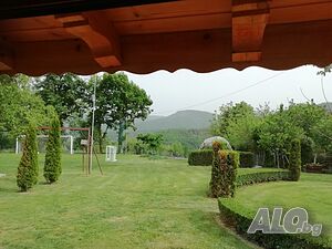 image_6