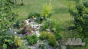 image_19