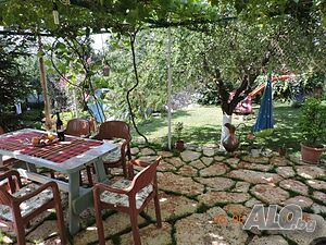 image_25