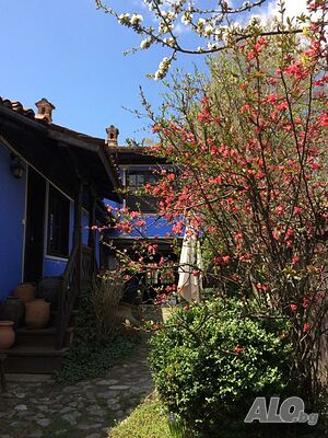 image_34