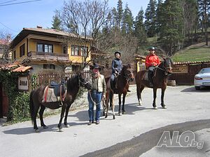image_26