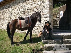 image_13