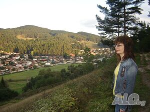 image_6