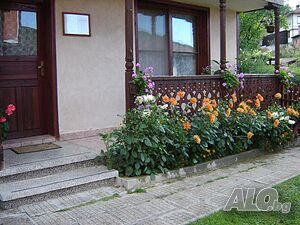 image_17