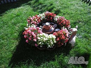image_31