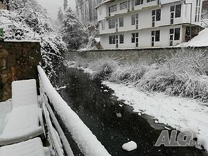 image_31