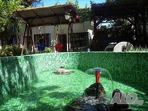 image_10