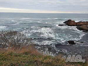 image_6