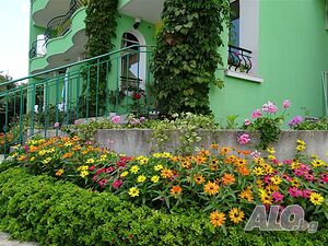 image_3