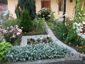 image_14