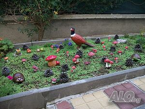 image_15