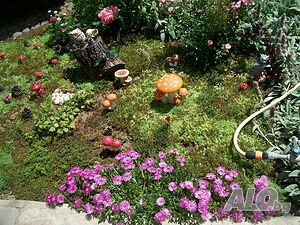 image_19