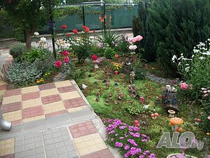 image_20