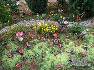 image_21