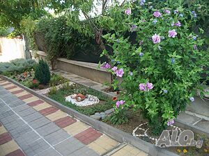 image_22
