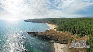 image_25